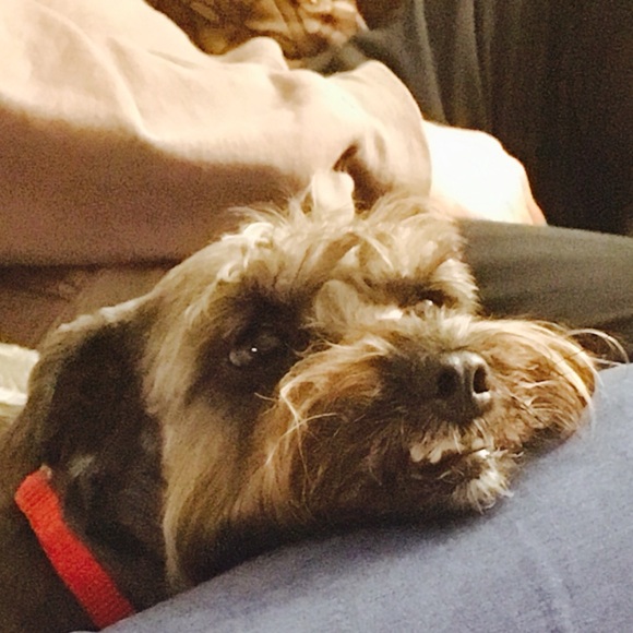 Meet your Posher, Adam - Picture 1 of 1